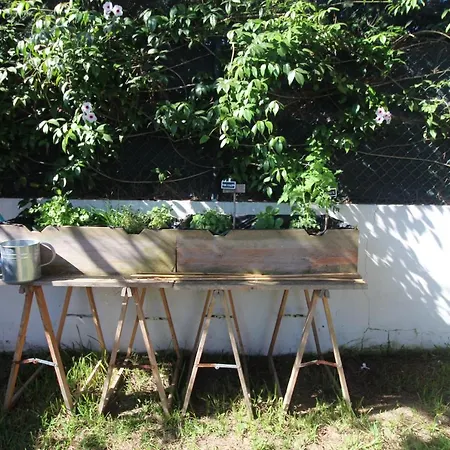 Santa Cruz House Tatil Evi *
