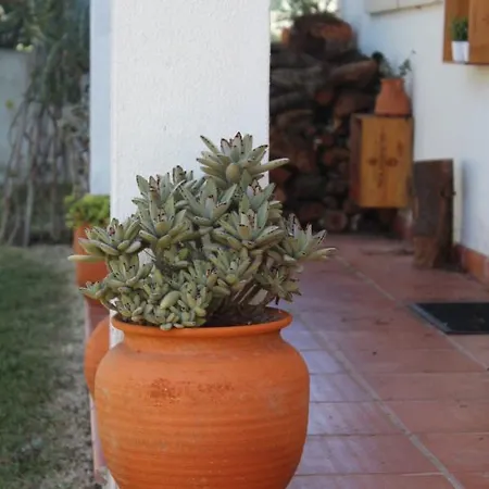 Casa vacanze Santa Cruz House *