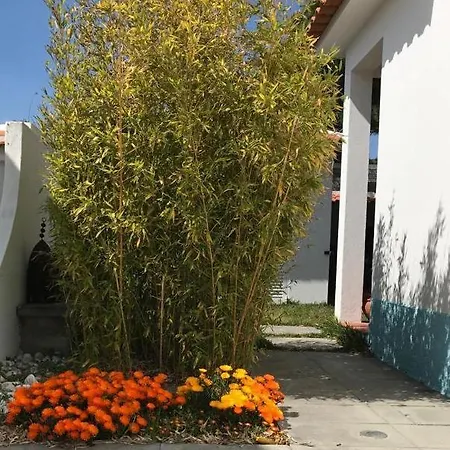 Santa Cruz House Casa vacanze Areias (Lisbon)