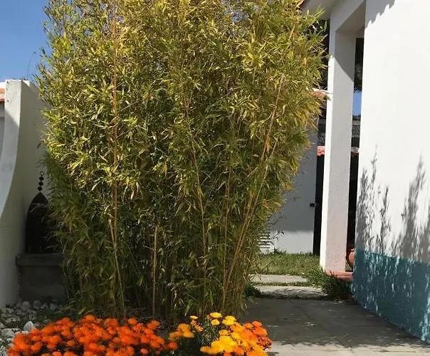 Santa Cruz House Holiday home Areias (Lisbon)